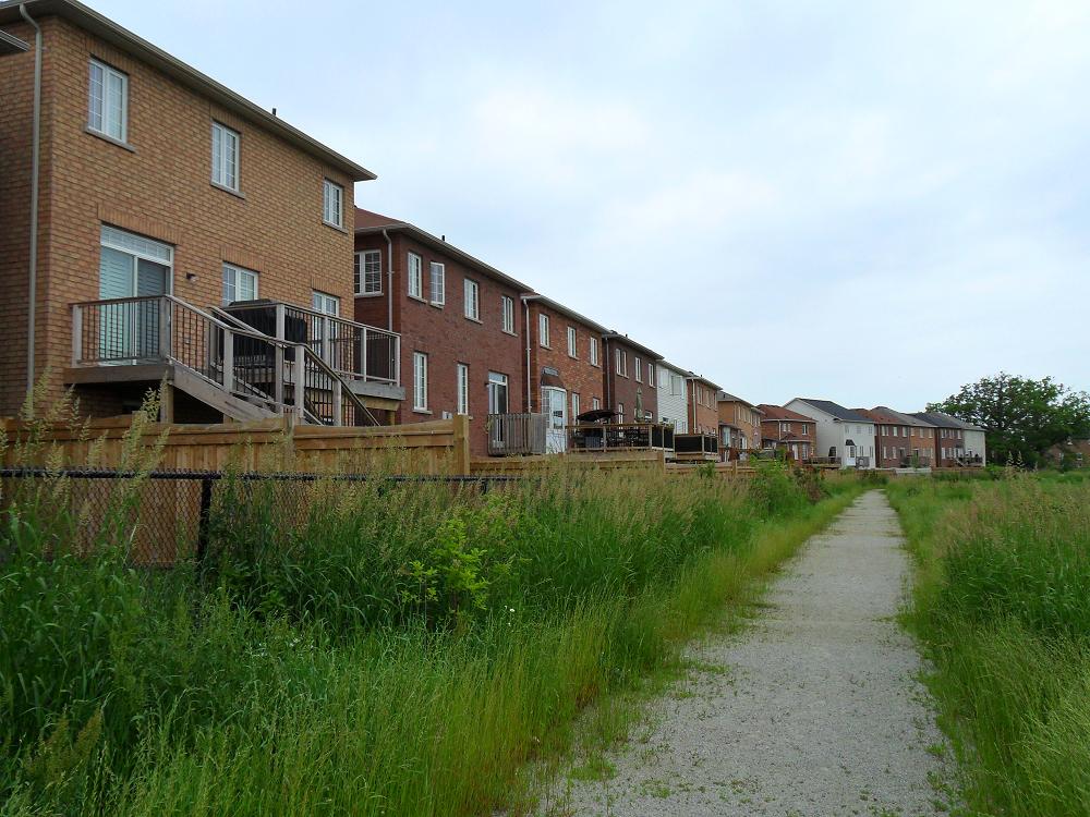 9c_backSAM_0038